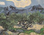 Vincent Van Gogh Olive Trees with the Alpilles in the Background (nn04) oil painting picture wholesale